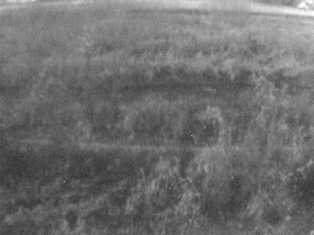 平山橋付近のカメラ画像