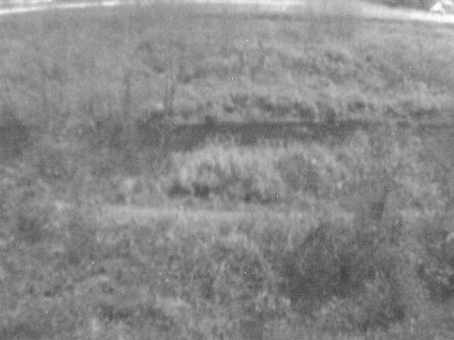 平山橋付近のカメラ画像