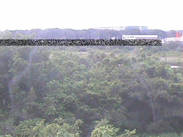 相模川 上依知付近のカメラ画像
