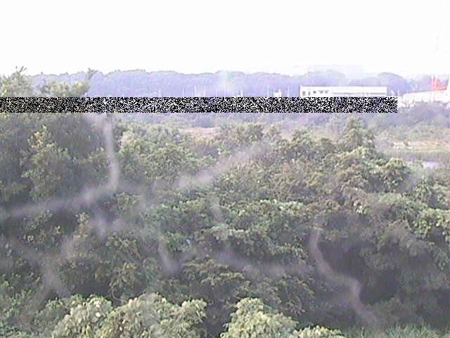 相模川 上依知付近のカメラ画像