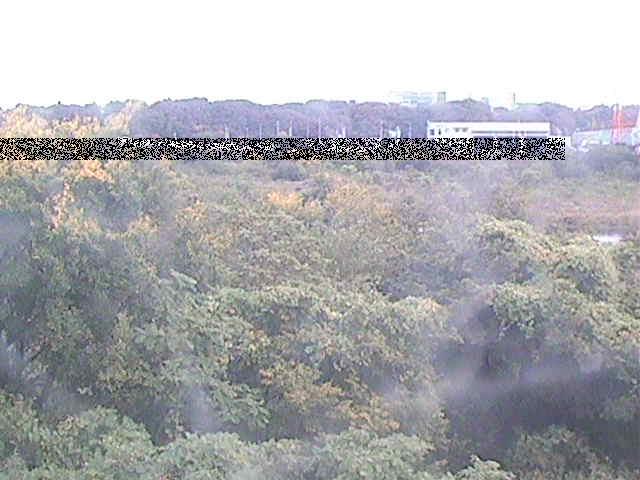 相模川 上依知付近のカメラ画像