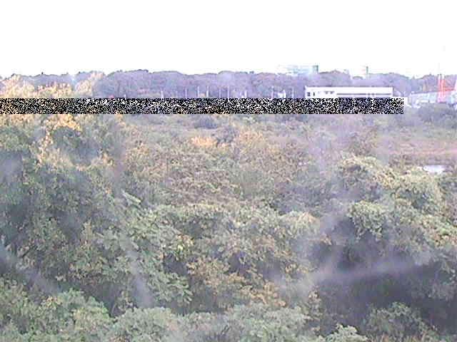 相模川 上依知付近のカメラ画像