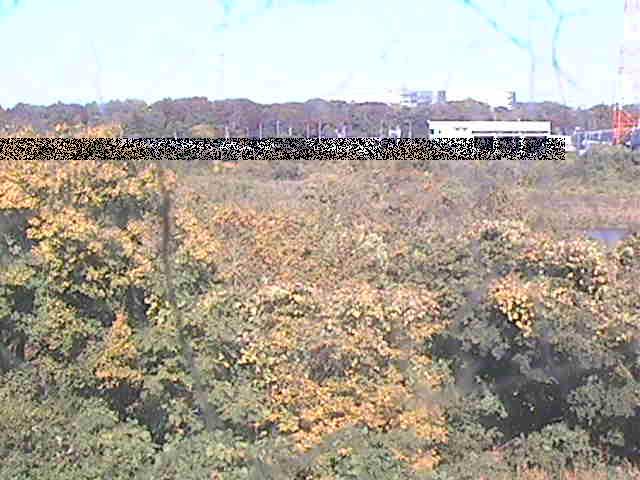 上依知付近のカメラ画像