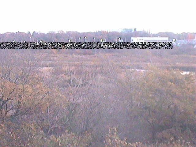 相模川 上依知付近のカメラ画像