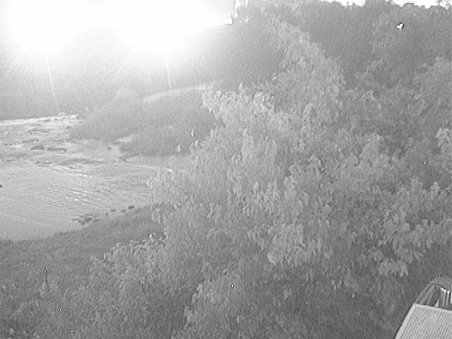 才戸橋付近のカメラ画像