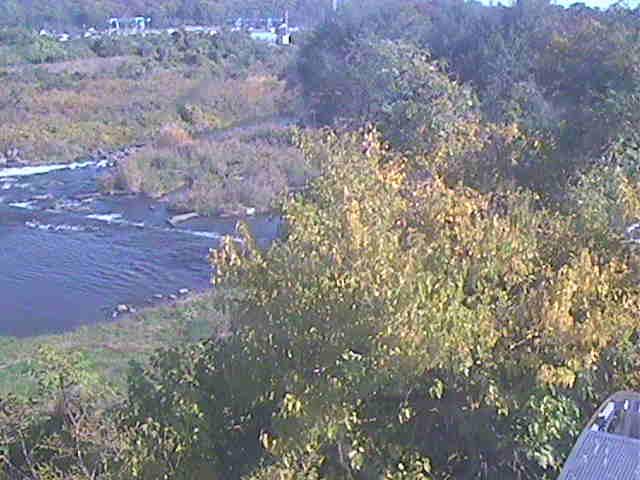 才戸橋付近のカメラ画像