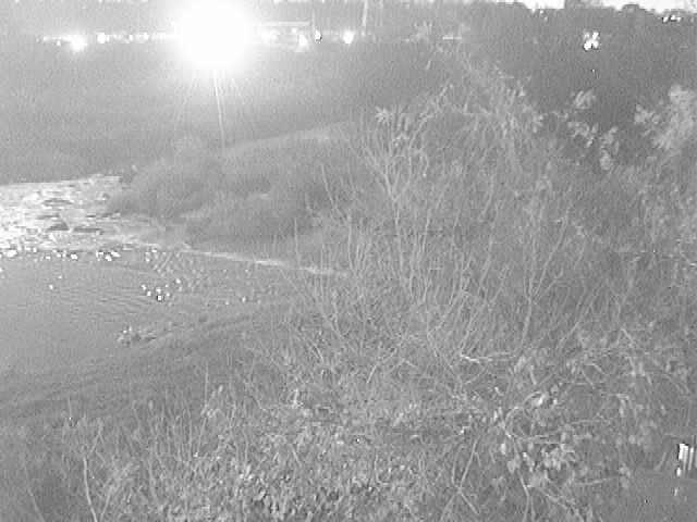 才戸橋付近のカメラ画像