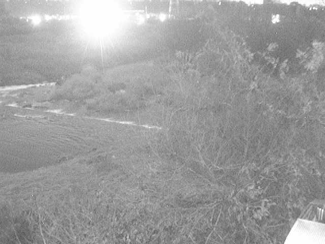 才戸橋付近のカメラ画像