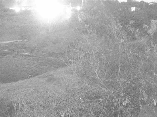 才戸橋付近のカメラ画像