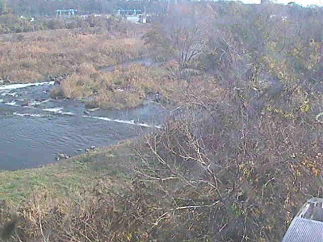 才戸橋付近のカメラ画像