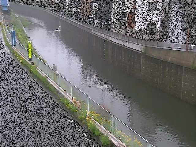 境橋付近のカメラ画像