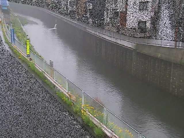 境川 境橋付近のカメラ画像