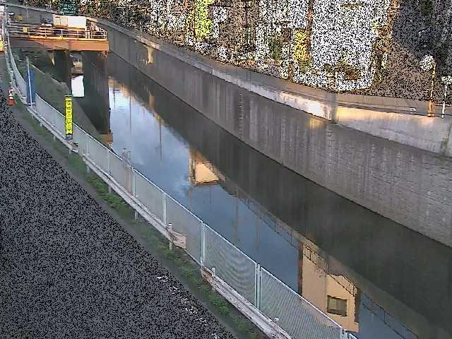 境川 境橋付近のカメラ画像