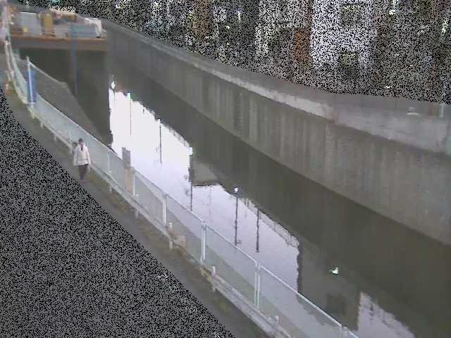 境川 境橋付近のカメラ画像