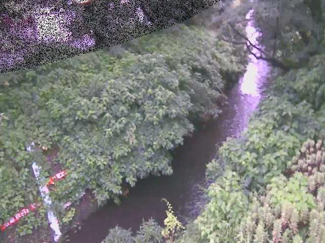 引地川 八幡橋付近のカメラ画像