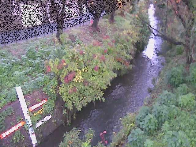 八幡橋付近のカメラ画像