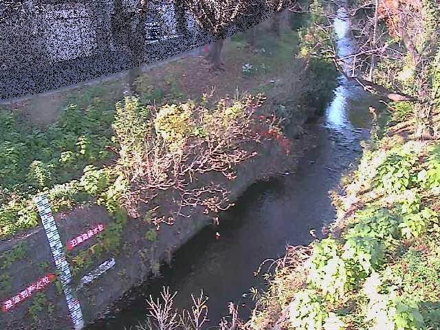 八幡橋付近のカメラ画像