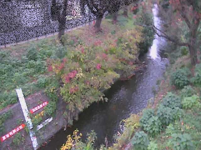 八幡橋付近のカメラ画像