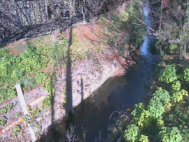 八幡橋付近のカメラ画像