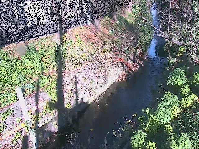 八幡橋付近のカメラ画像