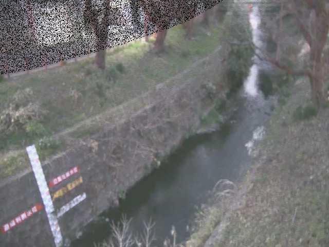 引地川 八幡橋付近のカメラ画像