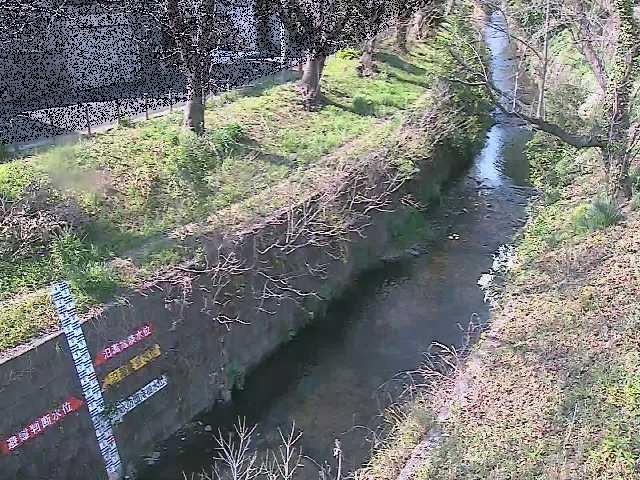 八幡橋付近のカメラ画像