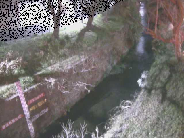 八幡橋付近のカメラ画像