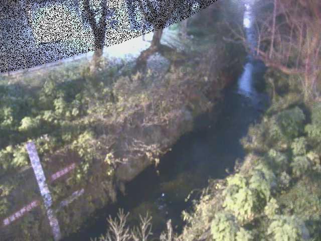 八幡橋付近のカメラ画像