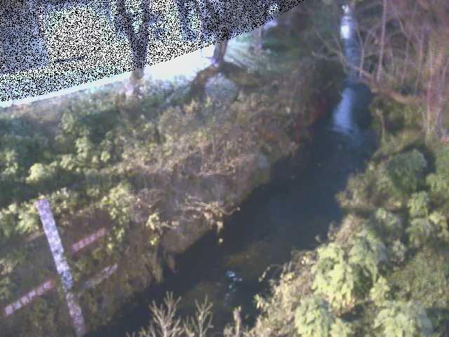 引地川 八幡橋付近のカメラ画像