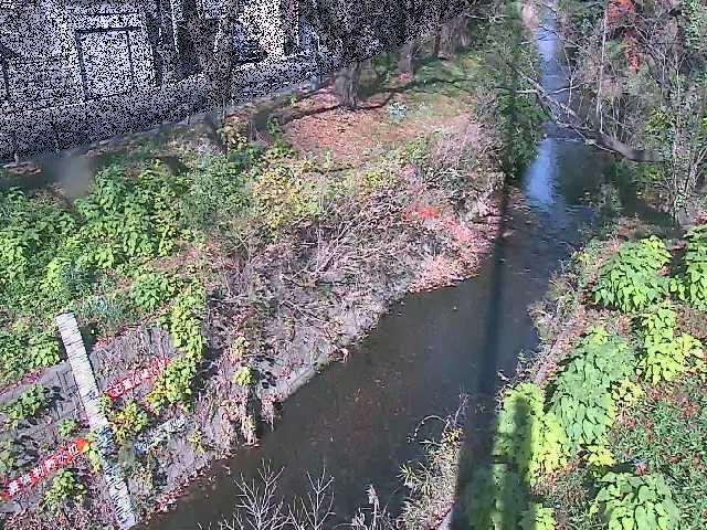 八幡橋付近のカメラ画像