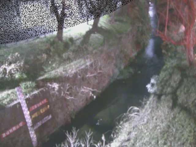引地川 八幡橋付近のカメラ画像