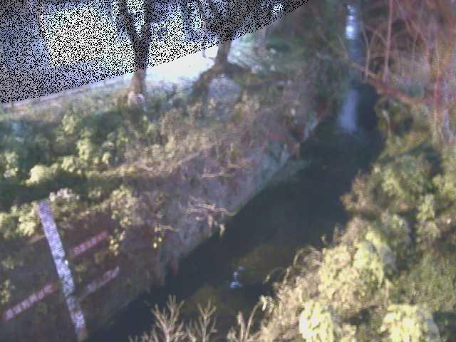 八幡橋付近のカメラ画像