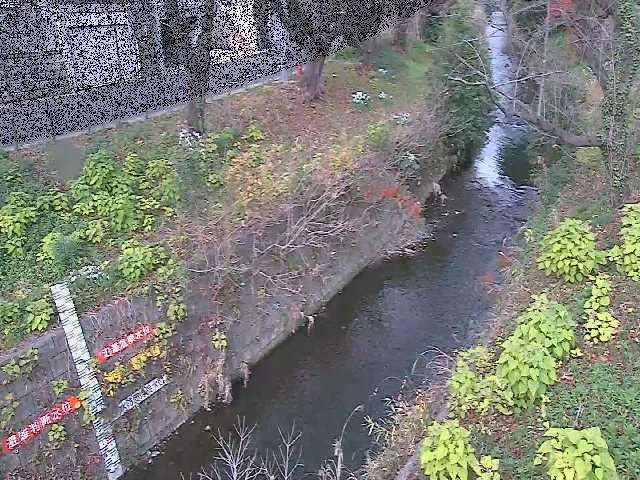 八幡橋付近のカメラ画像