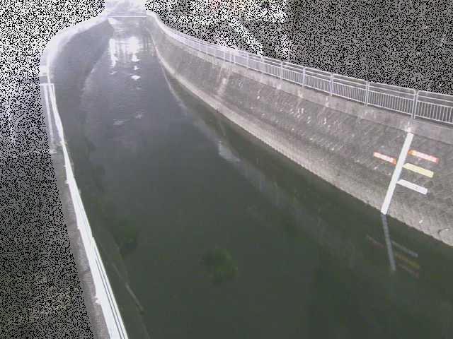 蓼川 上土棚新橋付近のカメラ画像