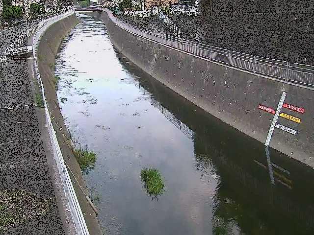 蓼川 上土棚新橋付近のカメラ画像