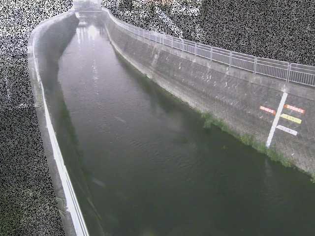 蓼川 上土棚新橋付近のカメラ画像