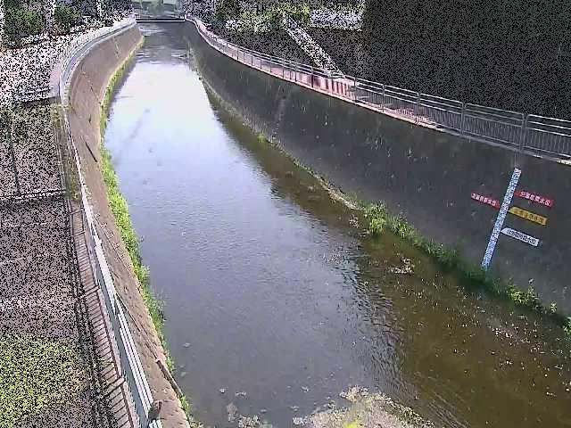 蓼川 上土棚新橋付近のカメラ画像