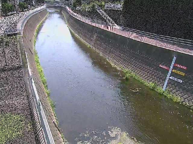 蓼川 上土棚新橋付近のカメラ画像
