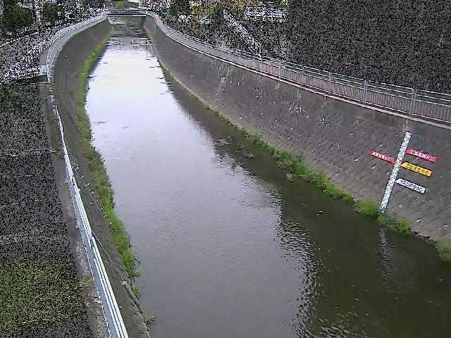 蓼川 上土棚新橋付近のカメラ画像