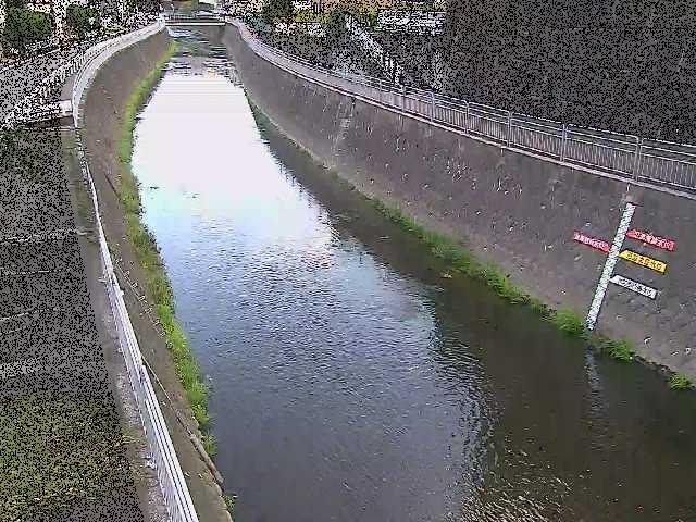 蓼川 上土棚新橋付近のカメラ画像