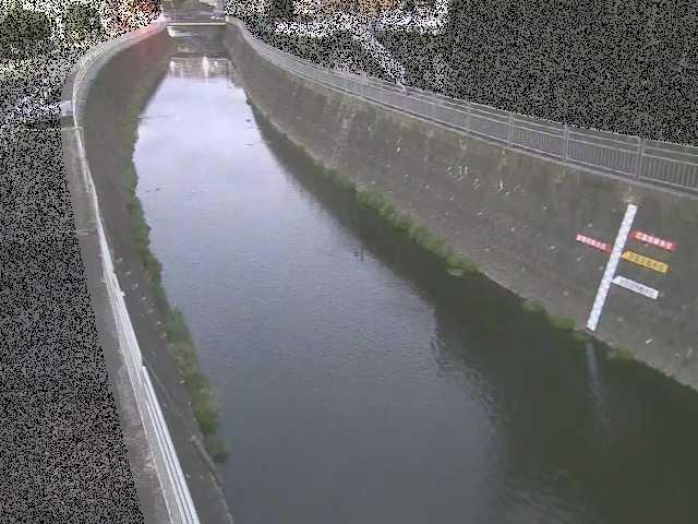 蓼川 上土棚新橋付近のカメラ画像
