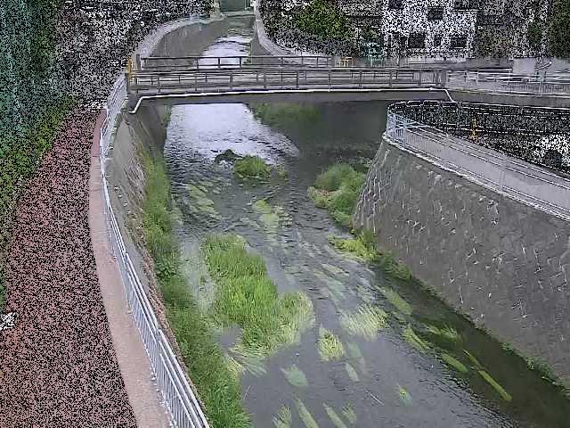 松山橋付近のカメラ画像