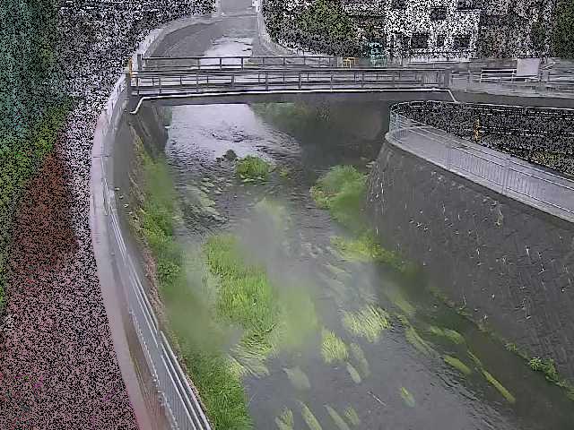松山橋付近のカメラ画像