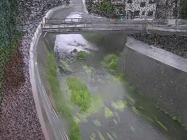 蓼川 松山橋付近のカメラ画像