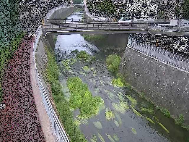 松山橋付近のカメラ画像