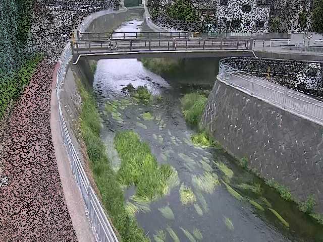 松山橋付近のカメラ画像