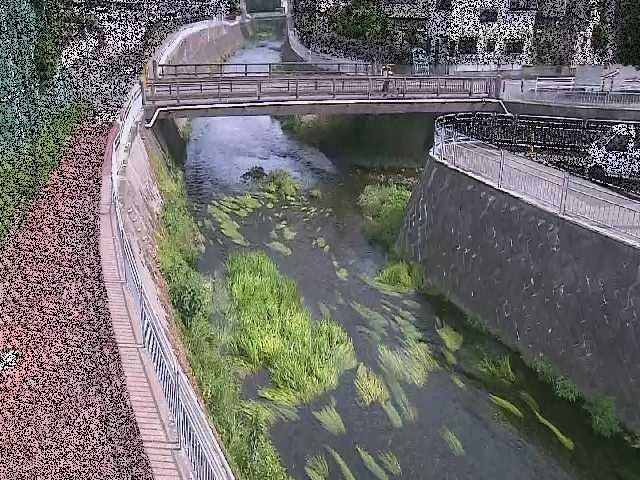 松山橋付近のカメラ画像