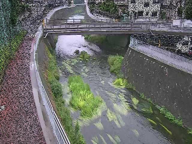 松山橋付近のカメラ画像