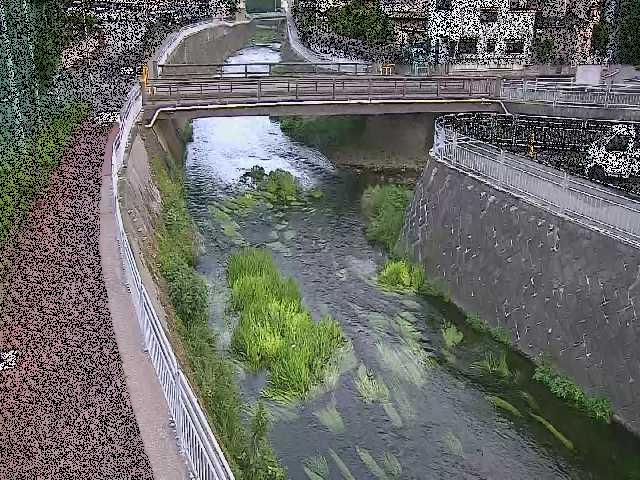 松山橋付近のカメラ画像