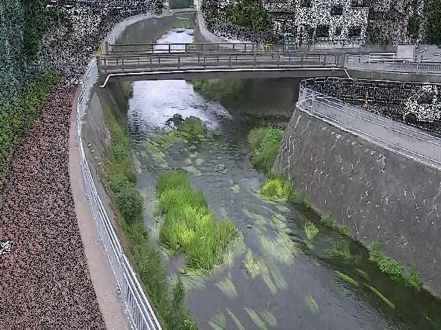 松山橋付近のカメラ画像